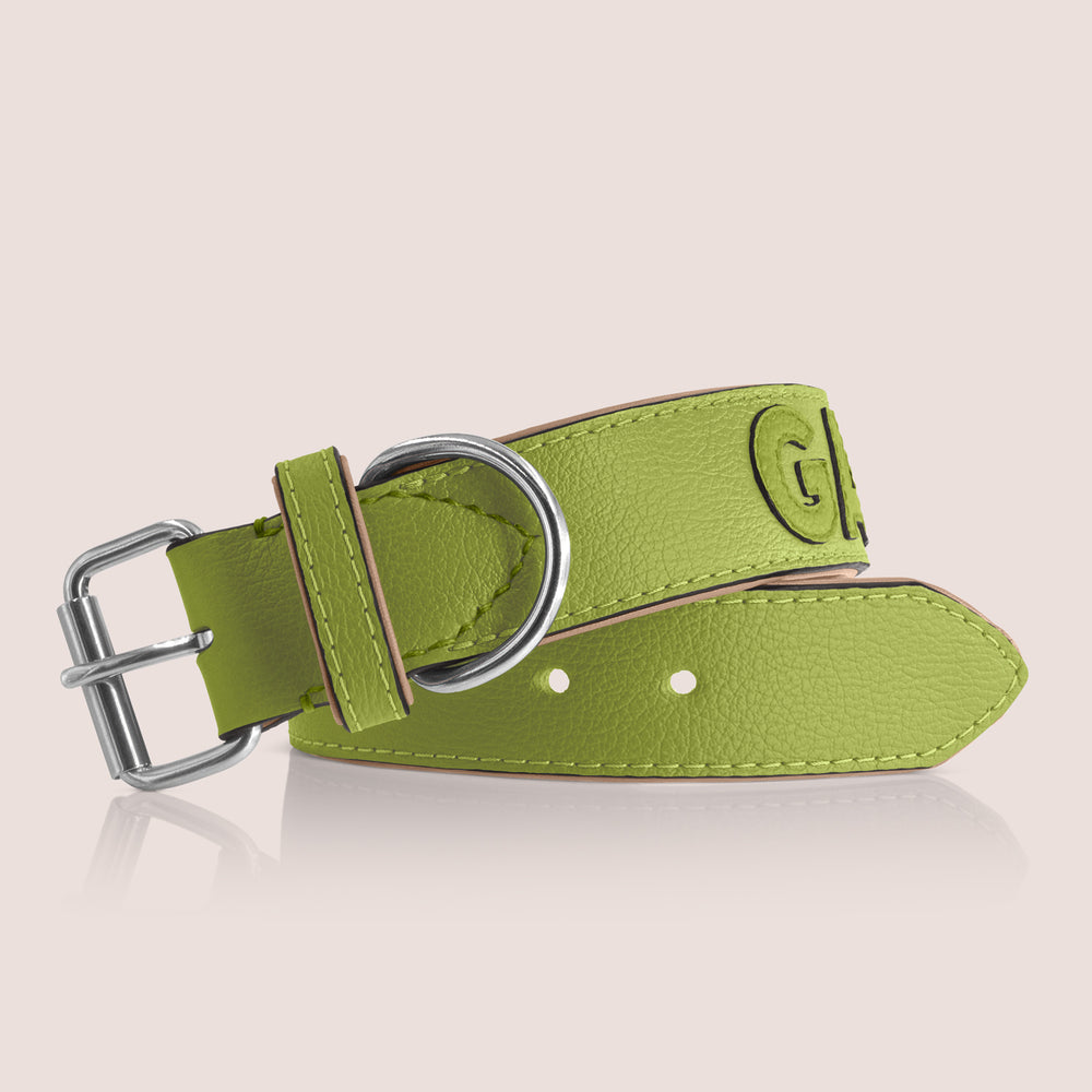 TONERL – Hundehalsband mit Namen aus Leder in Apfelgrün - Apfelgrün
