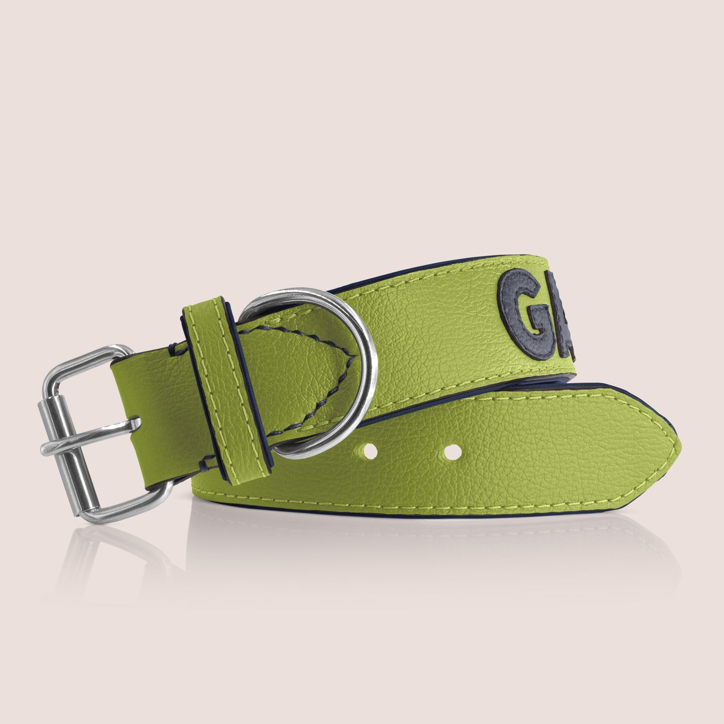 TONERL – Hundehalsband mit Namen aus Leder in Apfelgrün - Blau