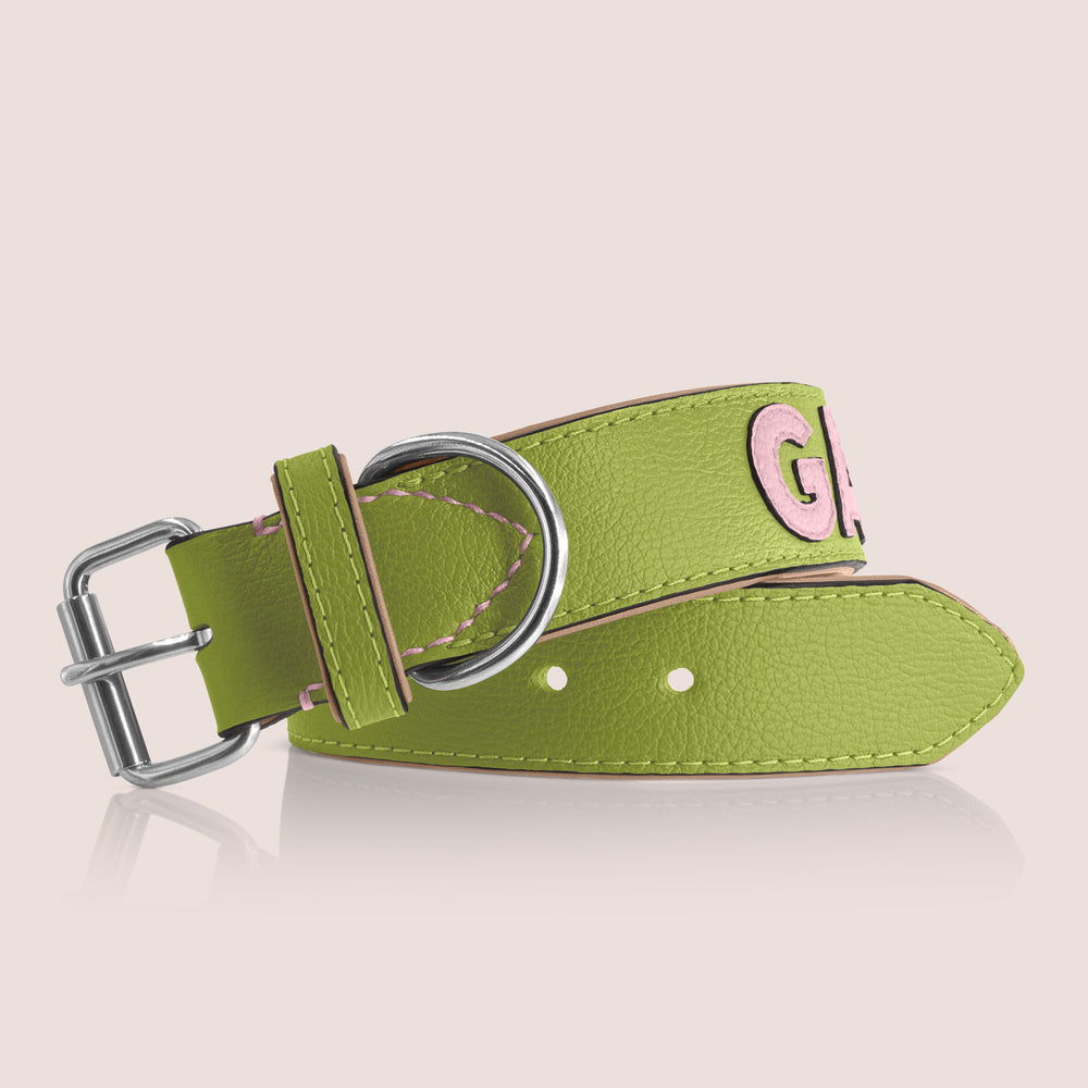 TONERL – Hundehalsband mit Namen aus Leder in Apfelgrün - Rosé