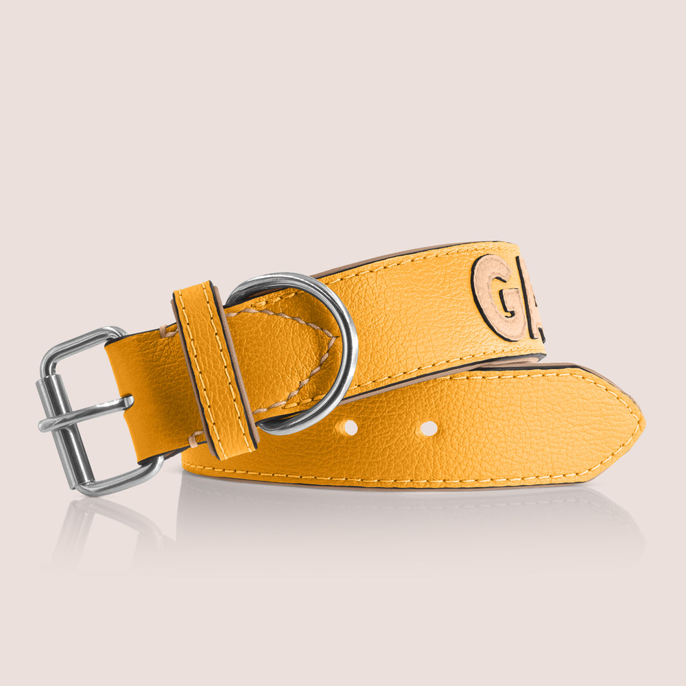 TONERL – Hundehalsband mit Namen aus Leder in Gelb - Biscuit