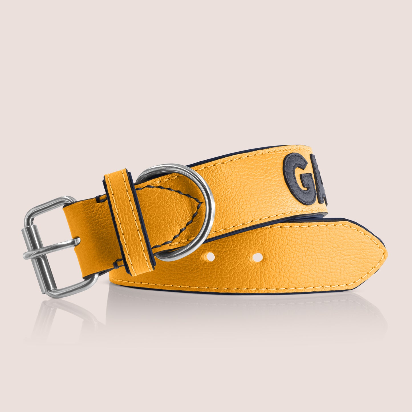 TONERL – Hundehalsband mit Namen aus Leder in Gelb - Blau