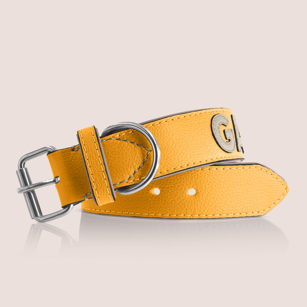 TONERL – Hundehalsband mit Namen aus Leder in Gelb - Stone