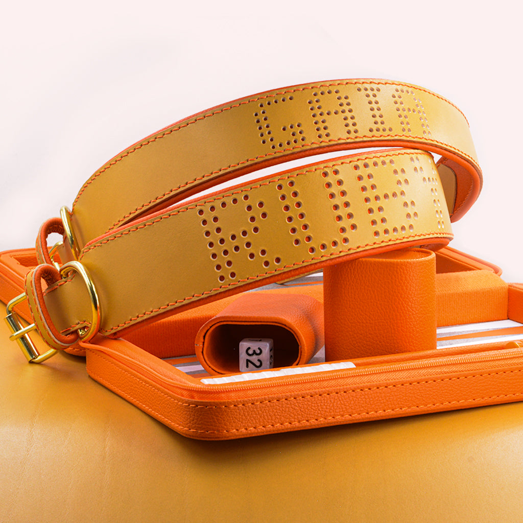 Luxus Hundehalsband aus Leder in Honig, handgefertigt, auf Maß, personalisiert von Gaiaswelt