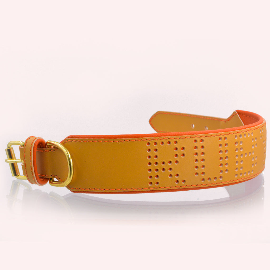 Luxus Hundehalsband aus Geschirrleder in einem Honigton, handgefertigt, auf Maß, personalisiert von Gaiaswelt