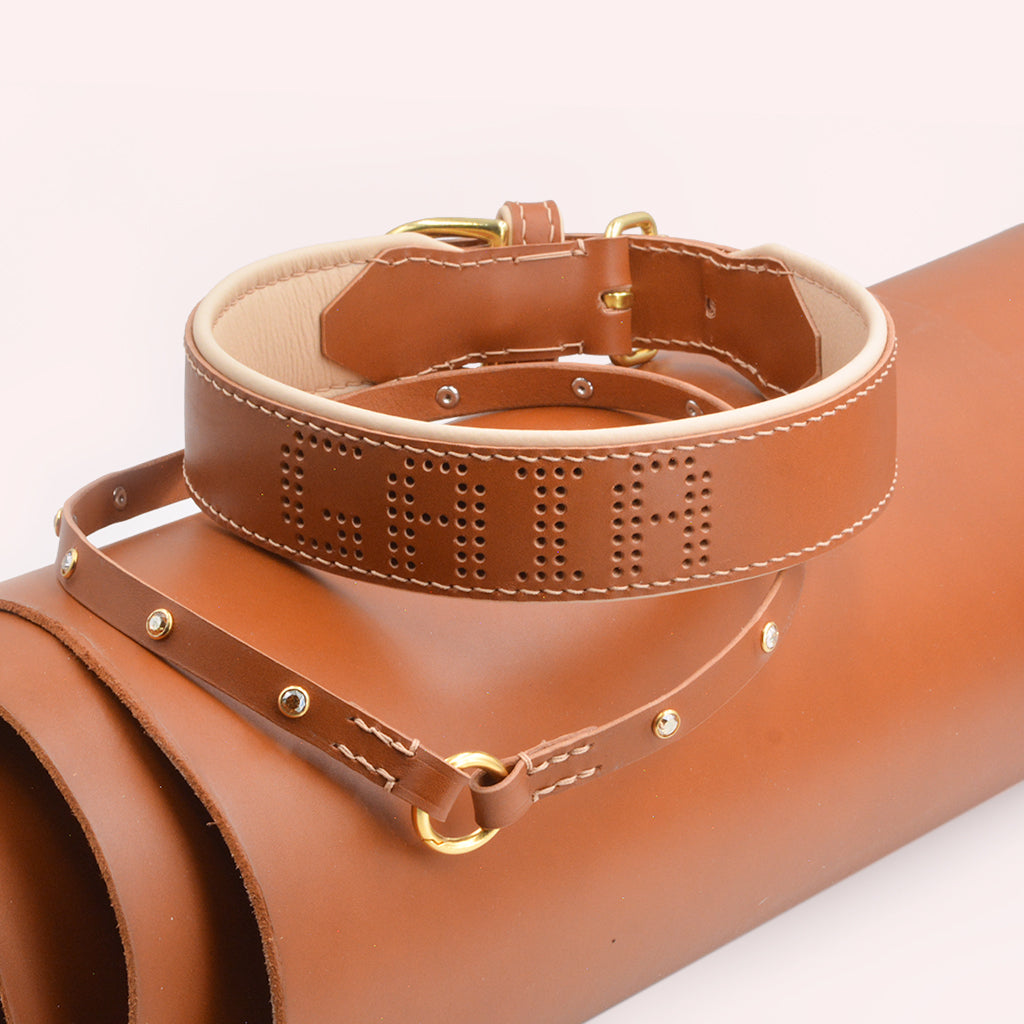 Luxus Hundehalsband Leder Brogue Style personalisiert Gaiaswelt
