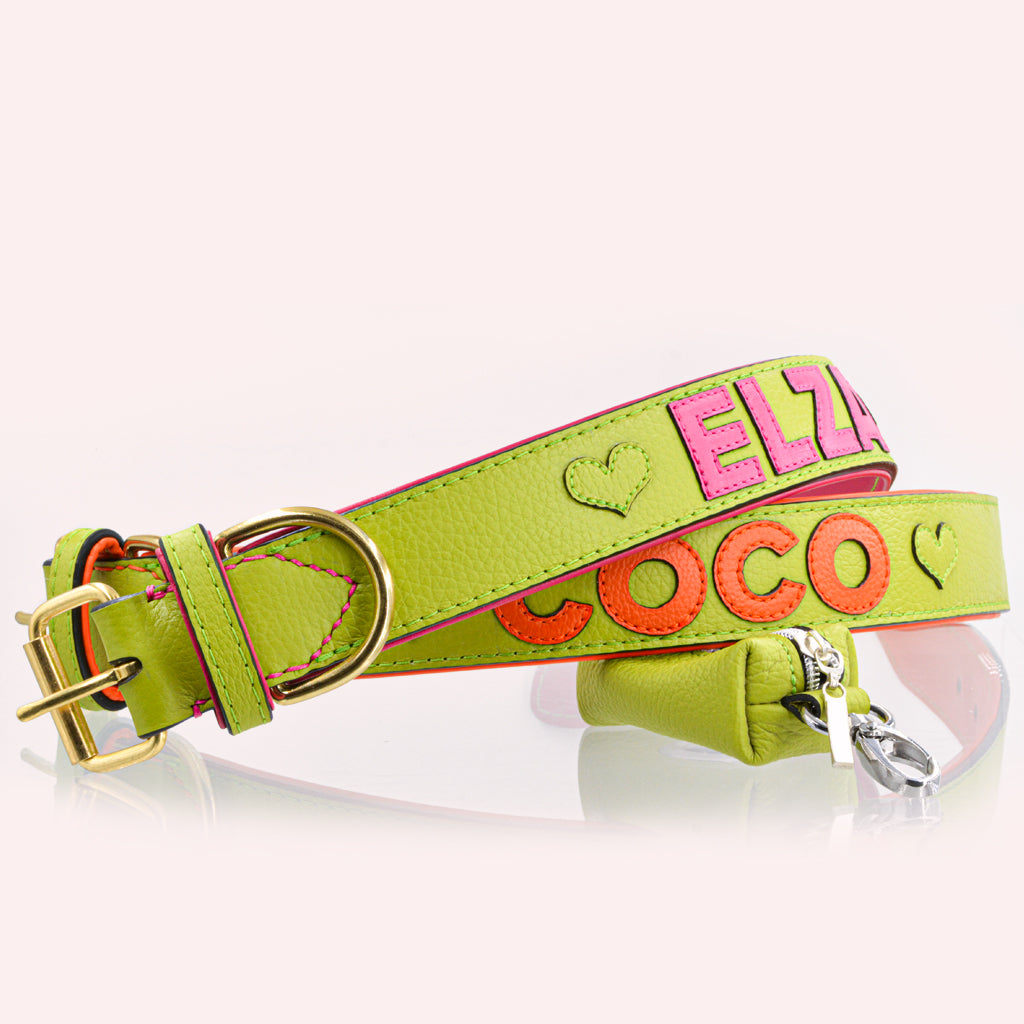 Hundehalsband Leder personalisiert – TONERL Classic – Apfelgrün