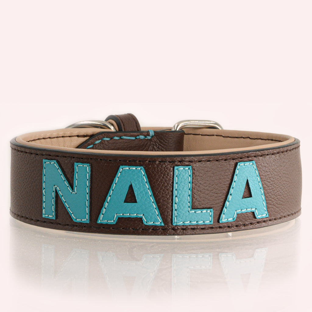 Leder Hundehalsband von Gaiaswelt personalisiert mit Lederbuchstaben in türkis