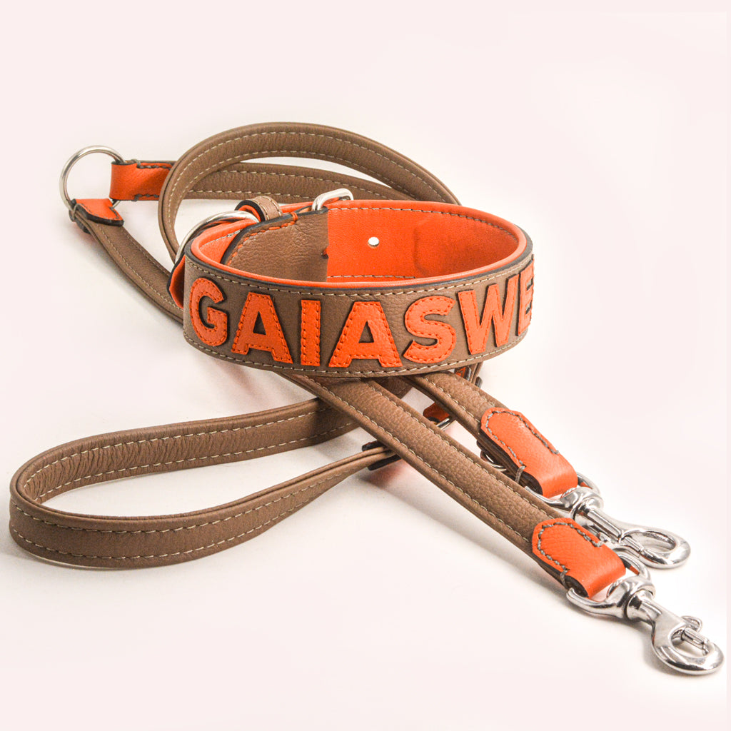 Gaiaswelt