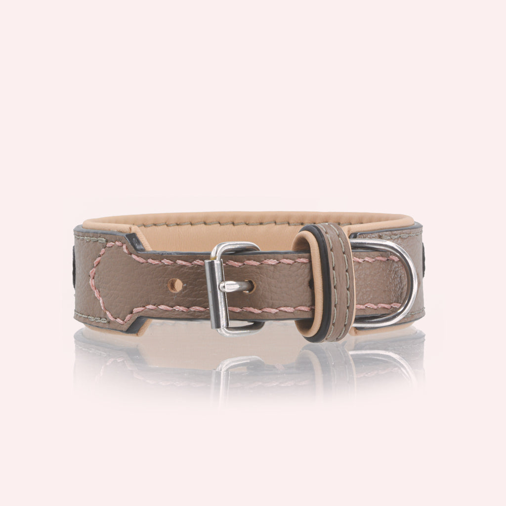 Hundehalsband Leder personalisiert – TONERL Mini – Taupe