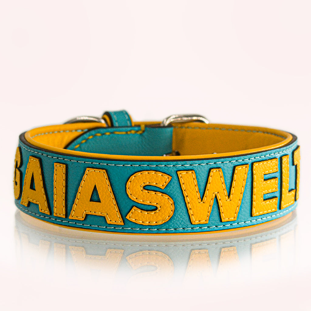 Hundehalsband Leder personalisiert – TONERL Classic – Türkis
