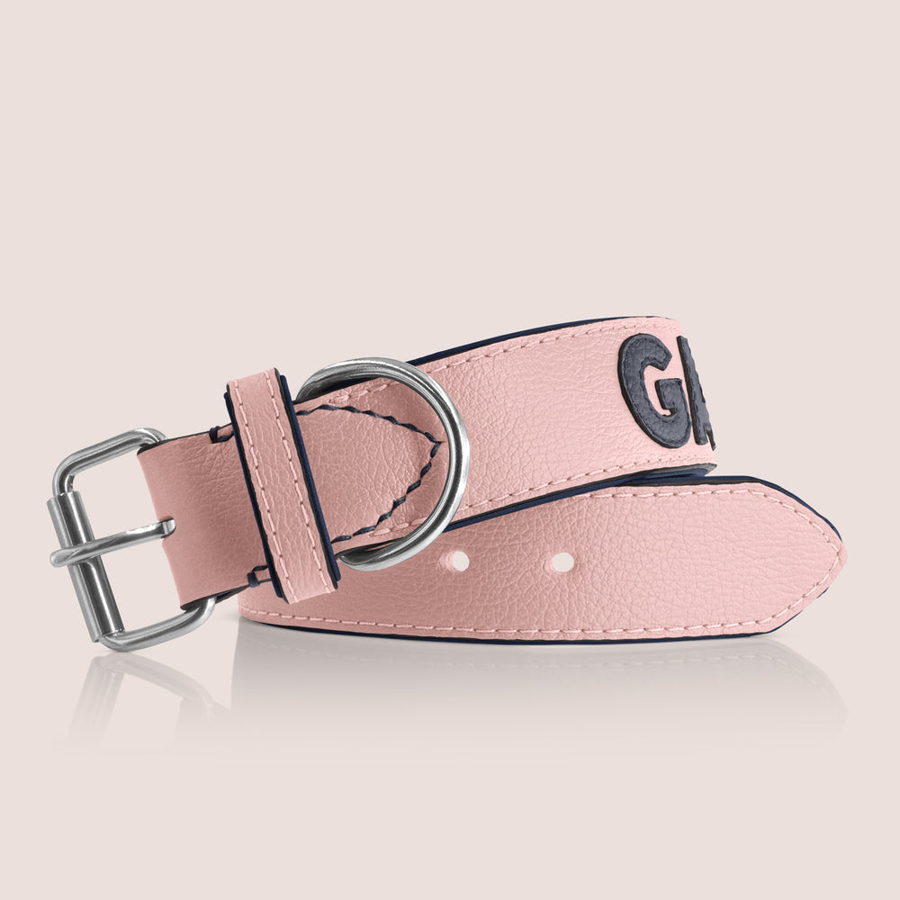 TONERL – Hundehalsband mit Namen aus Leder in Rosé - Blau