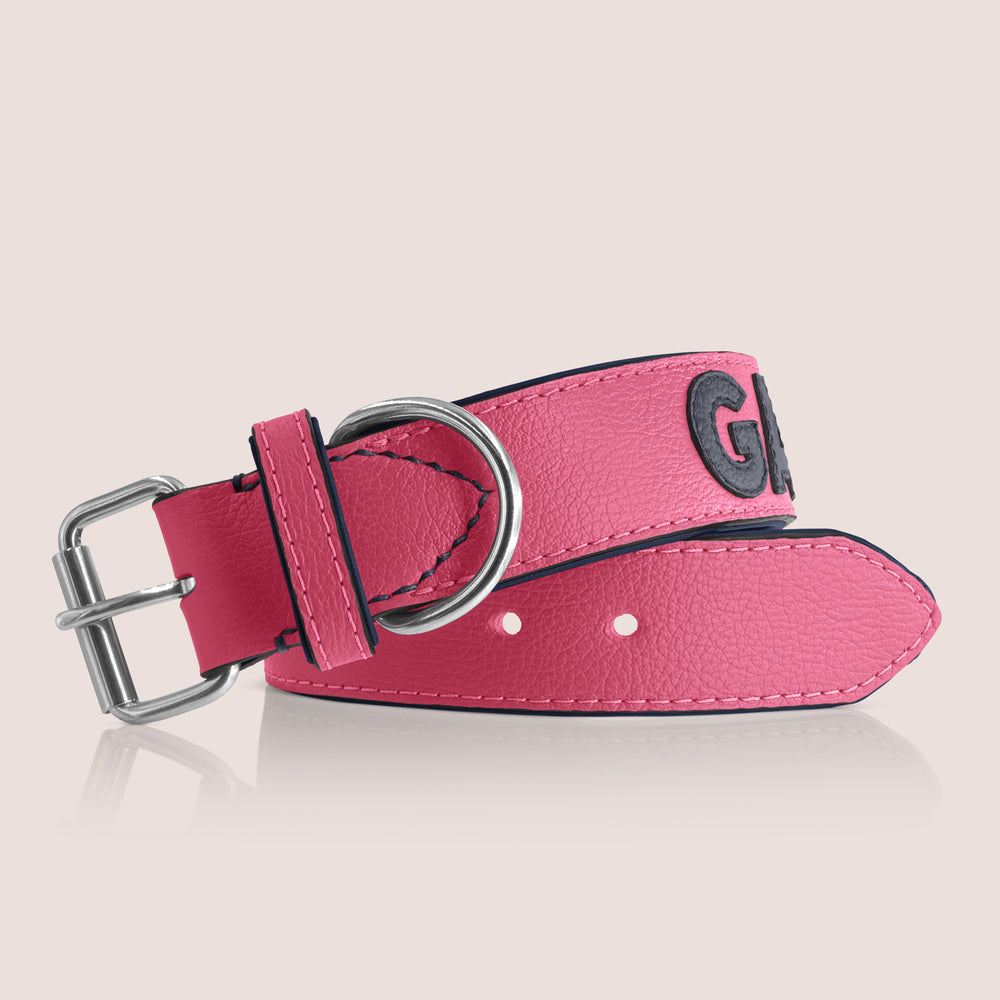 TONERL – Hundehalsband mit Namen aus Leder in Soft-Pink - Blau
