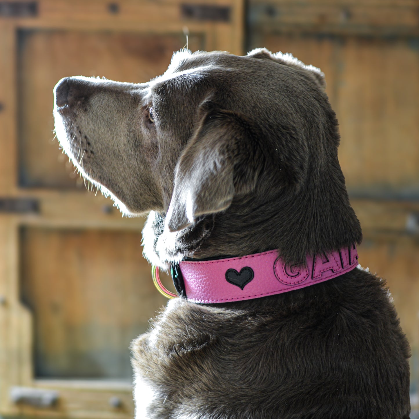 Hundehalsband von Gaiaswelt in Soft-Pink mit appliziertem kleinem Herz in Schwarz.