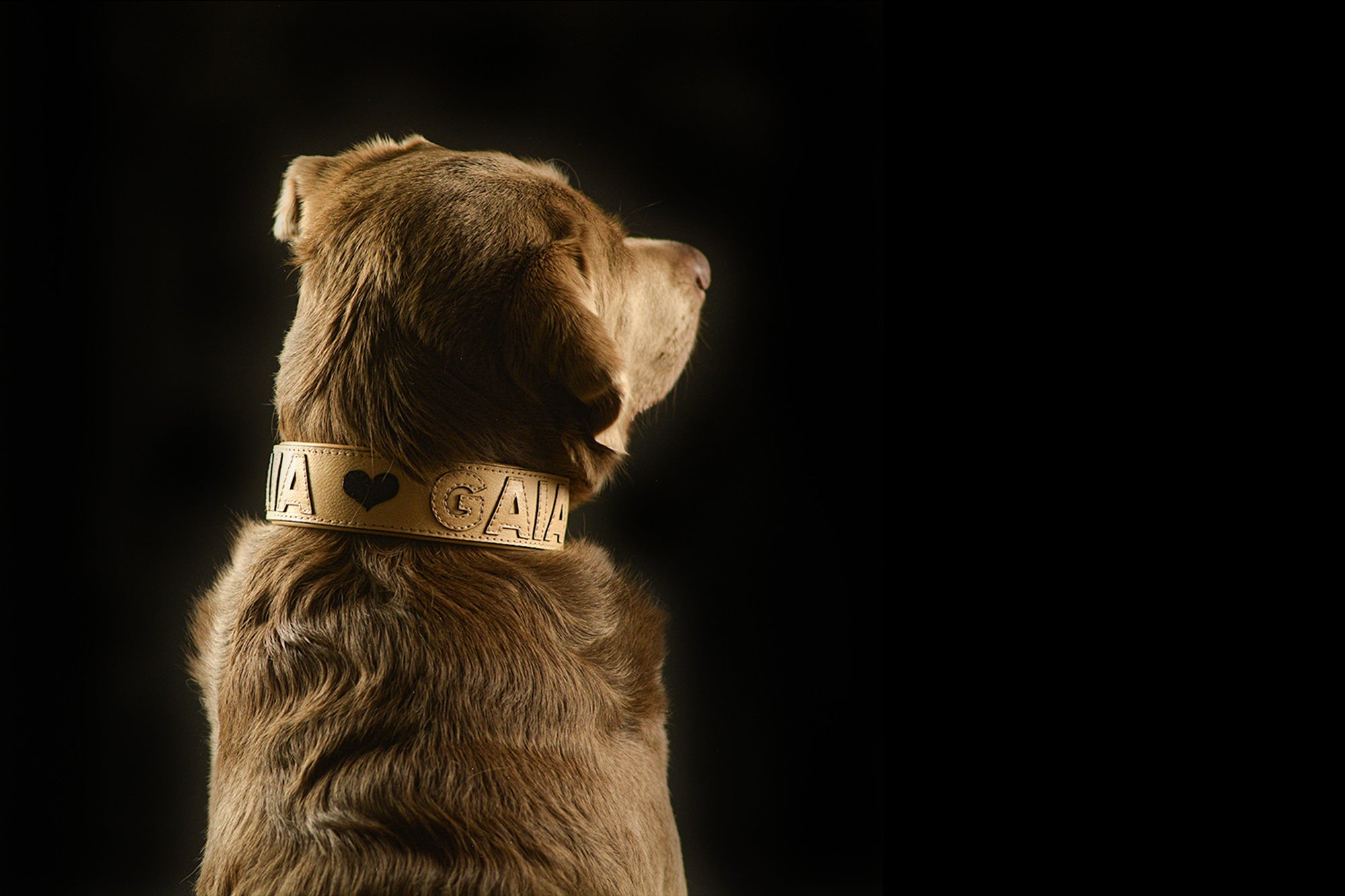 Personalisierte, auf Maß gefertigte Hundehalsbänder aus Nappaleder ...