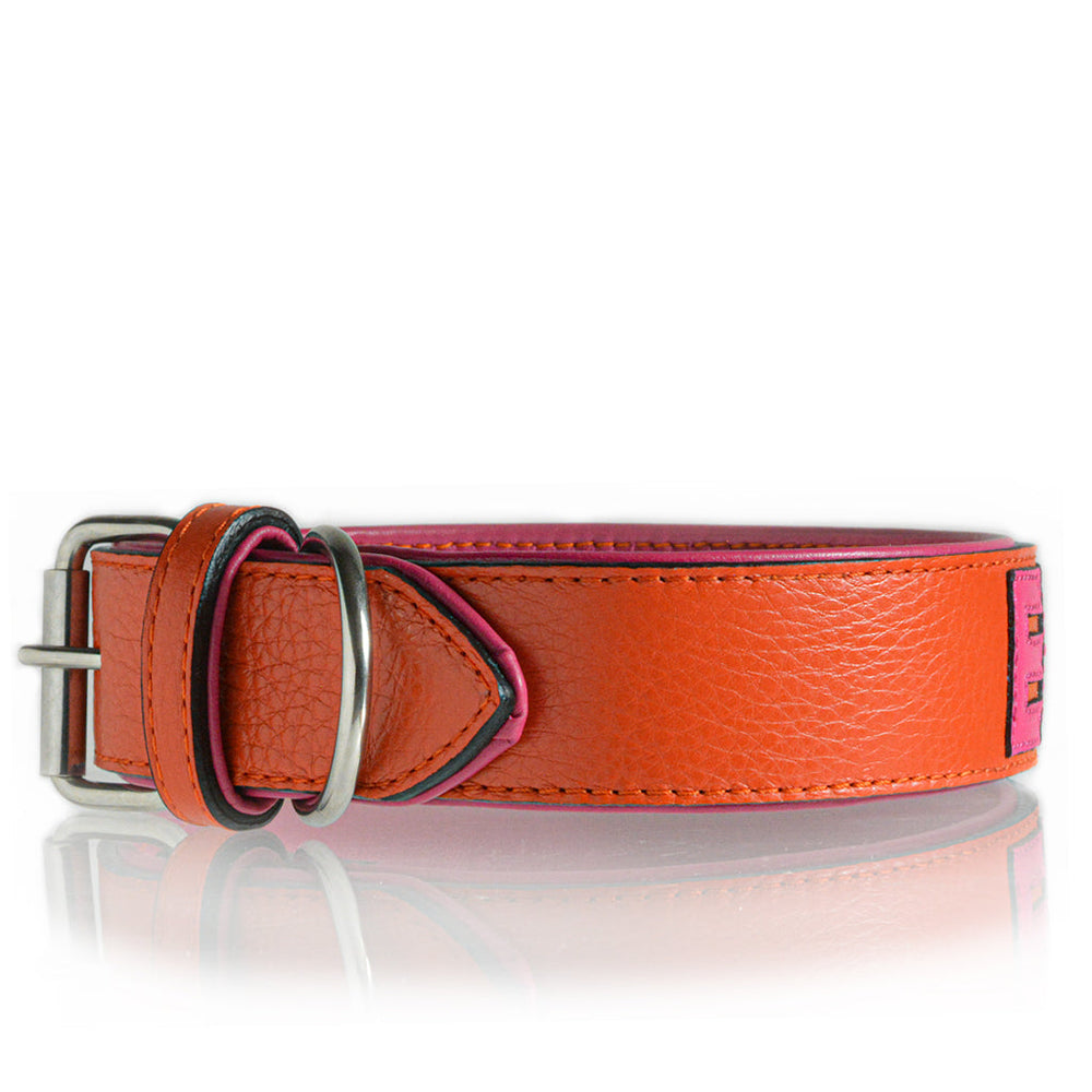 
                      
                        TONERL – Hundehalsband mit Namen aus Leder in Orange
                      
                    