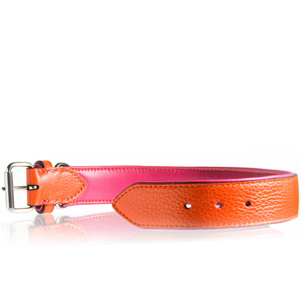 
                      
                        TONERL – Hundehalsband mit Namen aus Leder in Orange
                      
                    