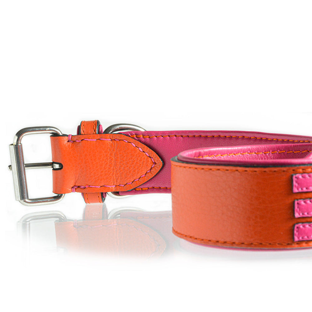 
                      
                        TONERL – Hundehalsband mit Namen aus Leder in Orange
                      
                    