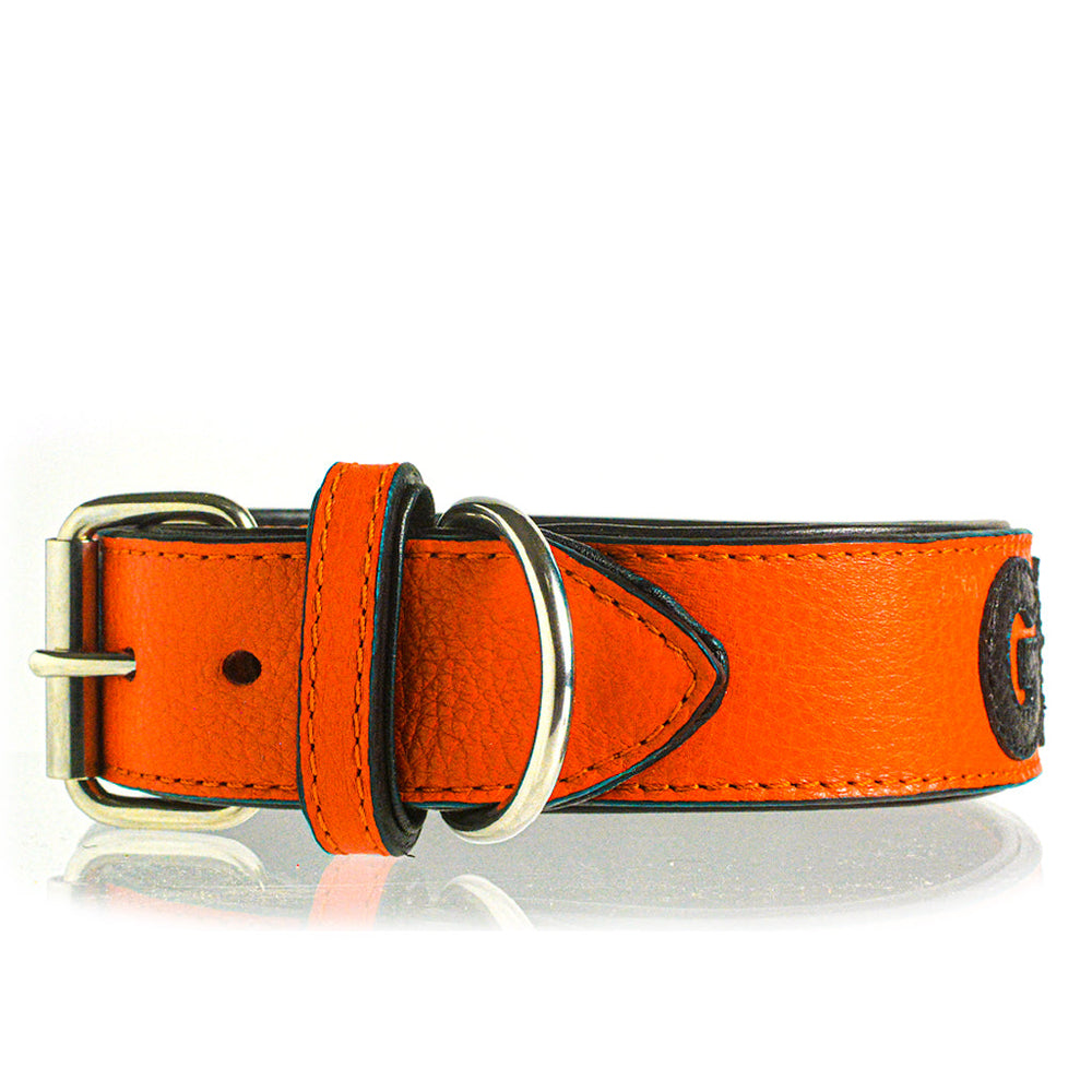 
                      
                        TONERL – Hundehalsband mit Namen aus Leder in Orange
                      
                    